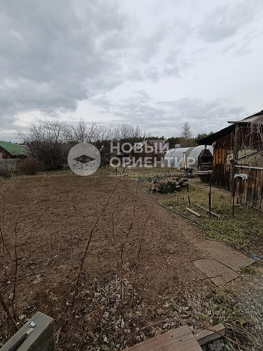 п. Рассоха, СНТ 50 лет Победы (городской округ Белоярский) - фото сада (14)