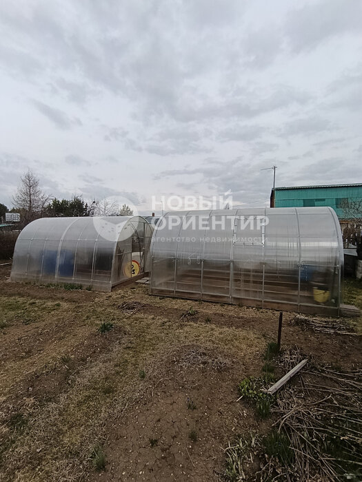 п. Рассоха, СНТ 50 лет Победы (городской округ Белоярский) - фото сада (15)