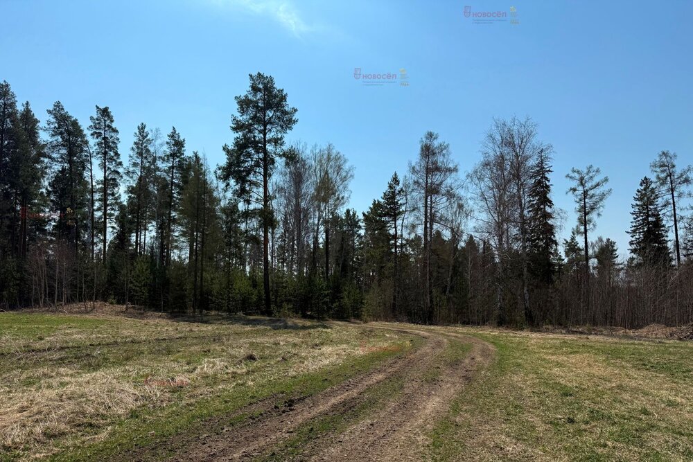 г. Ревда, ул. урочище Гусевка (городской округ Ревда) - фото земельного участка (2)