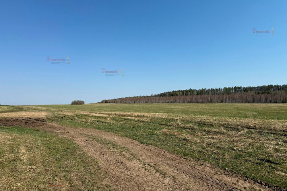 г. Ревда, ул. урочище Гусевка (городской округ Ревда) - фото земельного участка (3)