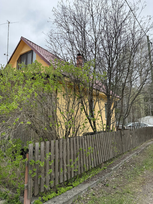 п. Лосиный, садоводческое некоммерческое товарищество Северный (городской округ Березовский) - фото сада (3)