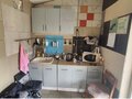 Продажа земельного участка: Екатеринбург, ул. Центральная, 21 (Горный щит) - Фото 8