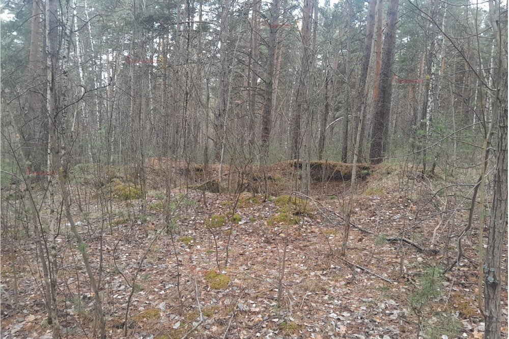 д. Малое Седельниково (городской округ Сысертский) - фото земельного участка (3)