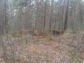 Продажа земельного участка коммерческого назначения: д. Малое Седельниково (городской округ Сысертский) - Фото 3