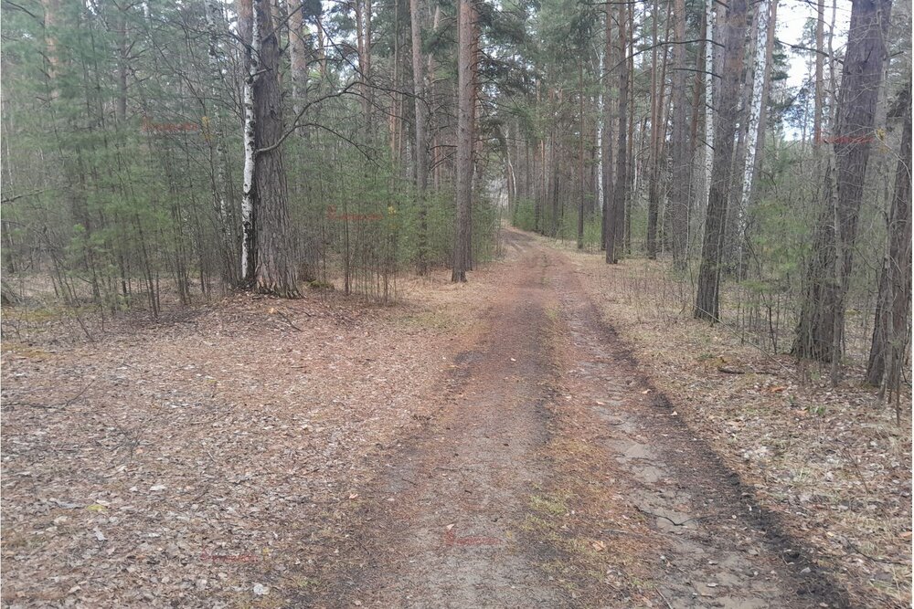 д. Малое Седельниково (городской округ Сысертский) - фото земельного участка (6)