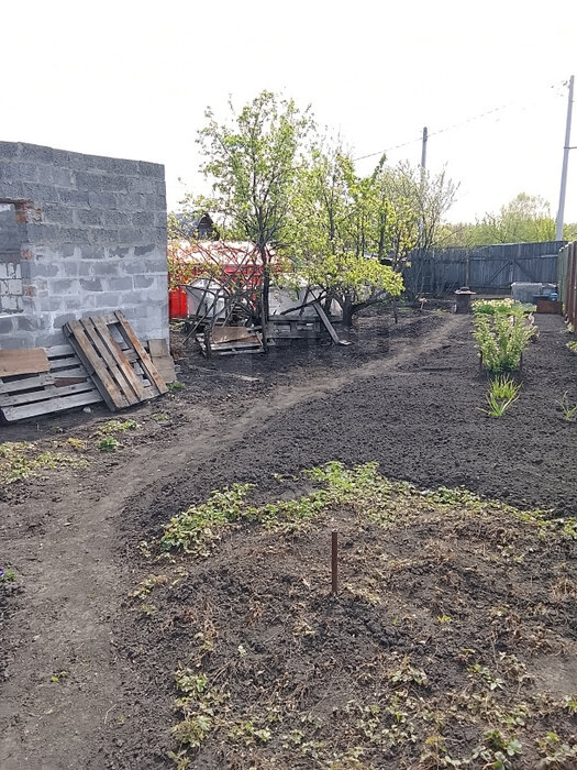 Екатеринбург, снт. Авиатор-5, уч. 47 (Кольцово) - фото сада (4)