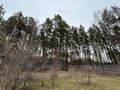 Продажа садового участка: Екатеринбург, СНТ Запад (ВИЗ) - Фото 2