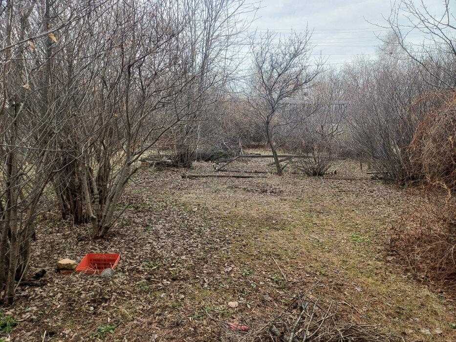 Екатеринбург, СНТ № 2 Екатеринбургского Электровозоремонтного Завода - фото сада (3)
