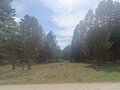 Продажа коттеджа, дома, дачи: пгт. Билимбай, ул. Есенина,  19 (городской округ Первоуральск) - Фото 3