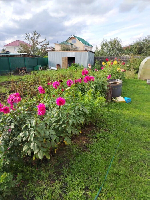 г. Арамиль, к/с Мечта, уч. 132 (городской округ Арамильский) - фото сада (4)