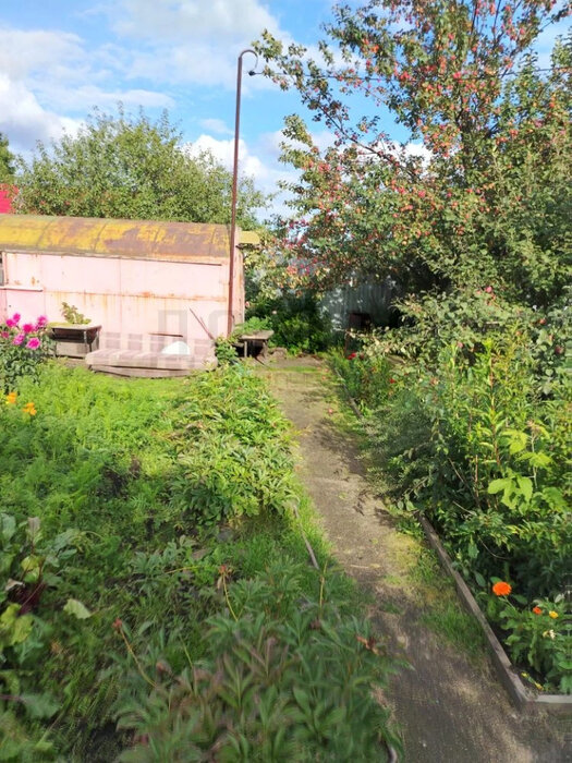 г. Арамиль, к/с Мечта, уч. 132 (городской округ Арамильский) - фото сада (7)