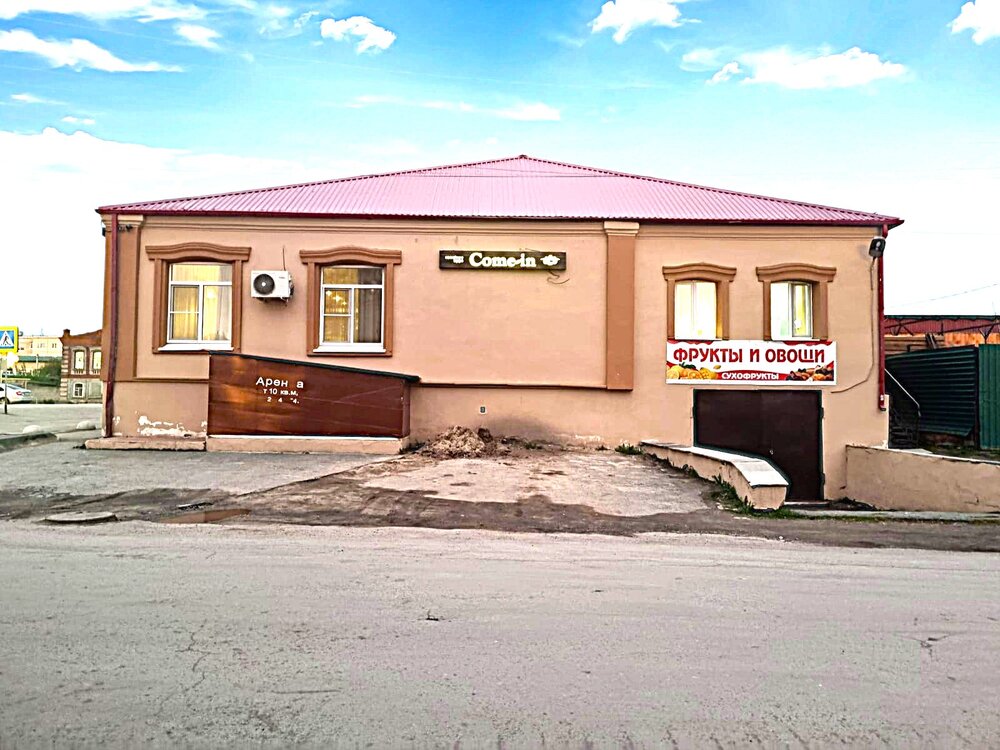 г. Камышлов, ул. Энгельса, 248А (городской округ Камышловский) - фото здания (1)