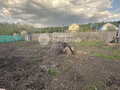 Продажа садового участка: Екатеринбург, Росинка , уч. 73 (Елизавет) - Фото 6