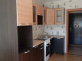 Продажа квартиры: г. Верхняя Пышма, ул. Уральских рабочих, 44ж (городской округ Верхняя Пышма) - Фото 4