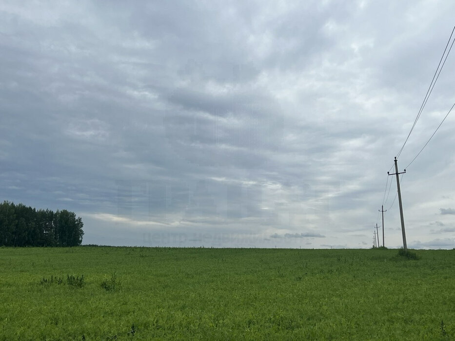 п. Останино (городской округ Режевской) - фото земельного участка (3)