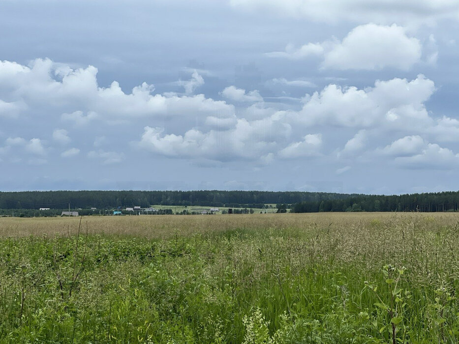 п. Останино (городской округ Режевской) - фото земельного участка (4)