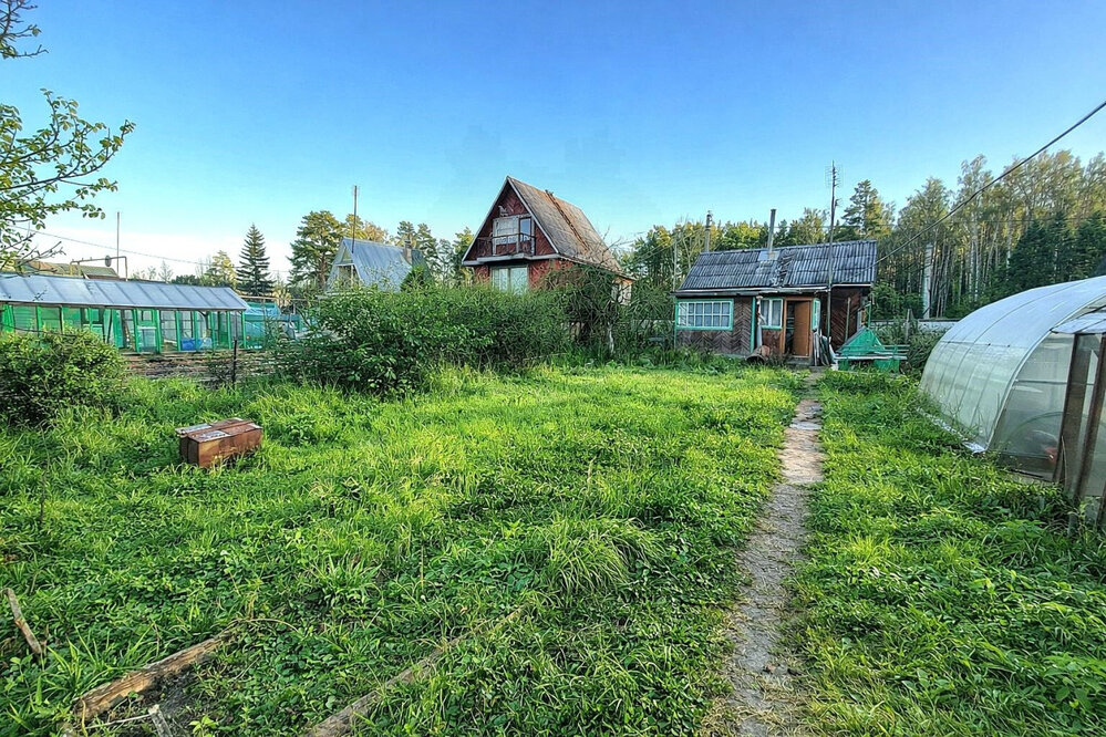 п. Бобровка, СНТ Рябинушка, уч. 147 (городской округ Белоярский) - фото сада (8)