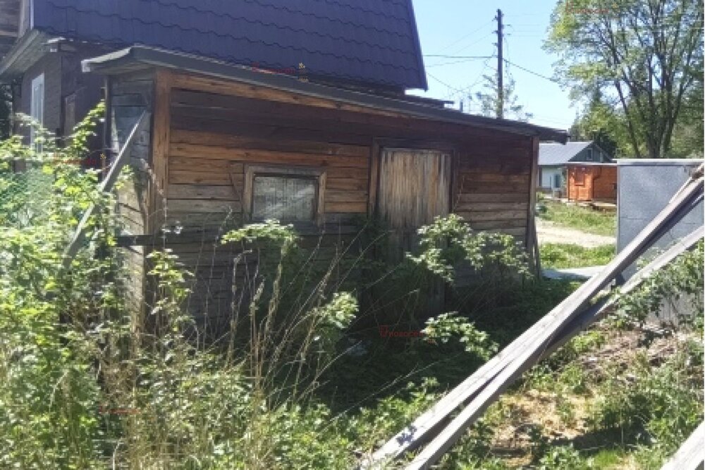 Екатеринбург, СНТ Исеть, ул. с/т Исеть, 42 - фото сада (14)