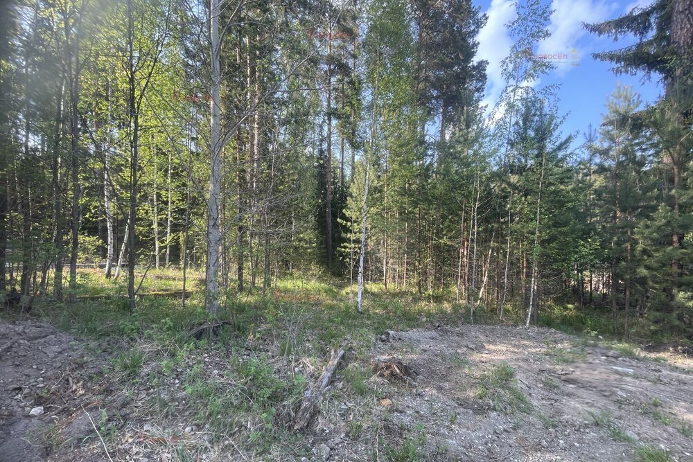 п. Таватуй, ул. Мира, 5 (городской округ Невьянский) - фото земельного участка (2)