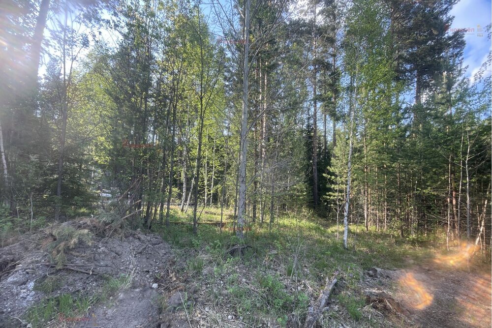 п. Таватуй, ул. Мира, 5 (городской округ Невьянский) - фото земельного участка (3)