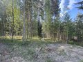 Продажа земельного участка: п. Таватуй, ул. Мира, 5 (городской округ Невьянский) - Фото 3