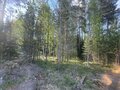 Продажа земельного участка: п. Таватуй, ул. Мира, 5 (городской округ Невьянский) - Фото 4