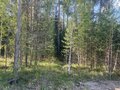 Продажа земельного участка: п. Таватуй, ул. Мира, 5 (городской округ Невьянский) - Фото 5
