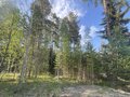Продажа земельного участка: п. Таватуй, ул. Мира, 5 (городской округ Невьянский) - Фото 6