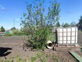 Продажа дома: пгт. Билимбай, ул. Береговая, 15 (городской округ Первоуральск) - Фото 8