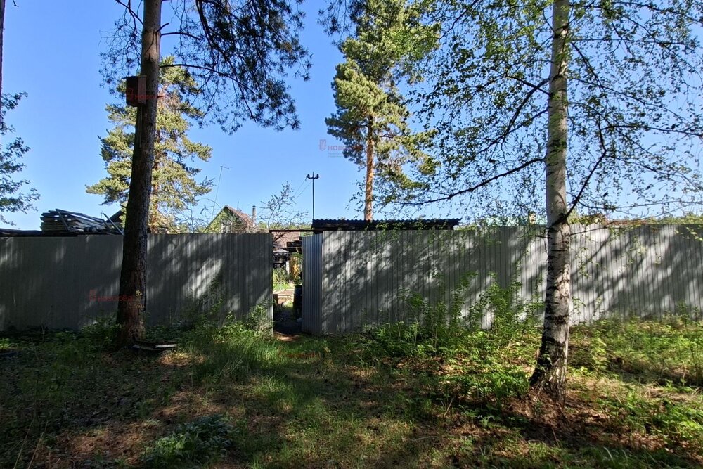 г. Первоуральск, СНТ Рябинушка, ул. СНТ Рябинушка, 7 (городской округ Первоуральск) - фото сада (10)