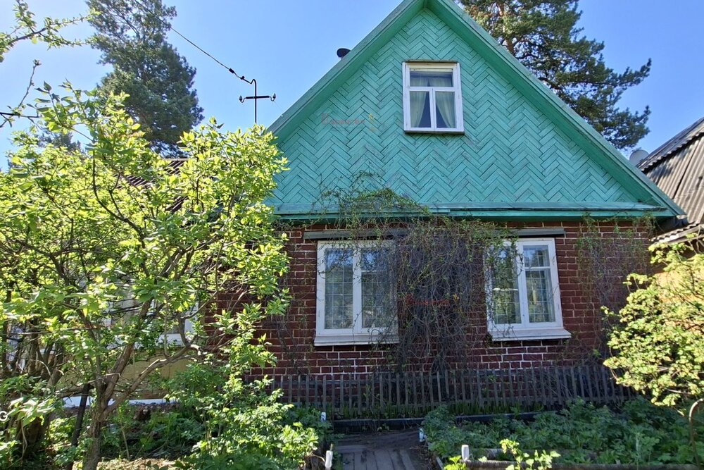 г. Первоуральск, СНТ Рябинушка, ул. СНТ Рябинушка, 7 (городской округ Первоуральск) - фото сада (12)