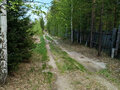 Продажа садового участка: с. Мостовское (г.о. Вехняя Пышма), к/с Изумруд (городской округ Верхняя Пышма) - Фото 8