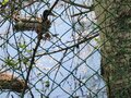 Продажа садового участка: Екатеринбург, СТ Горняк (Карасьеозерск) - Фото 5