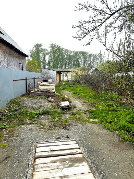 Екатеринбург, к/с Восток-1, ул. Источная, 1А (ЖБИ) - фото сада (2)