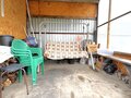 Продажа садового участка: Екатеринбург, к/с Восток-1, ул. Источная, 1А (ЖБИ) - Фото 5