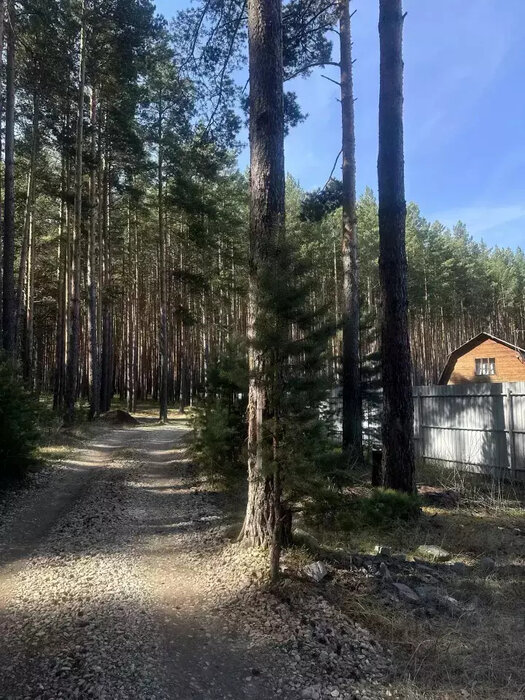 г. Сысерть, снт. Ясная поляна, уч. 2 (городской округ Сысертский) - фото сада (7)