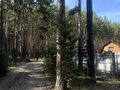 Продажа садового участка: г. Сысерть, снт. Ясная поляна, уч. 2 (городской округ Сысертский) - Фото 7