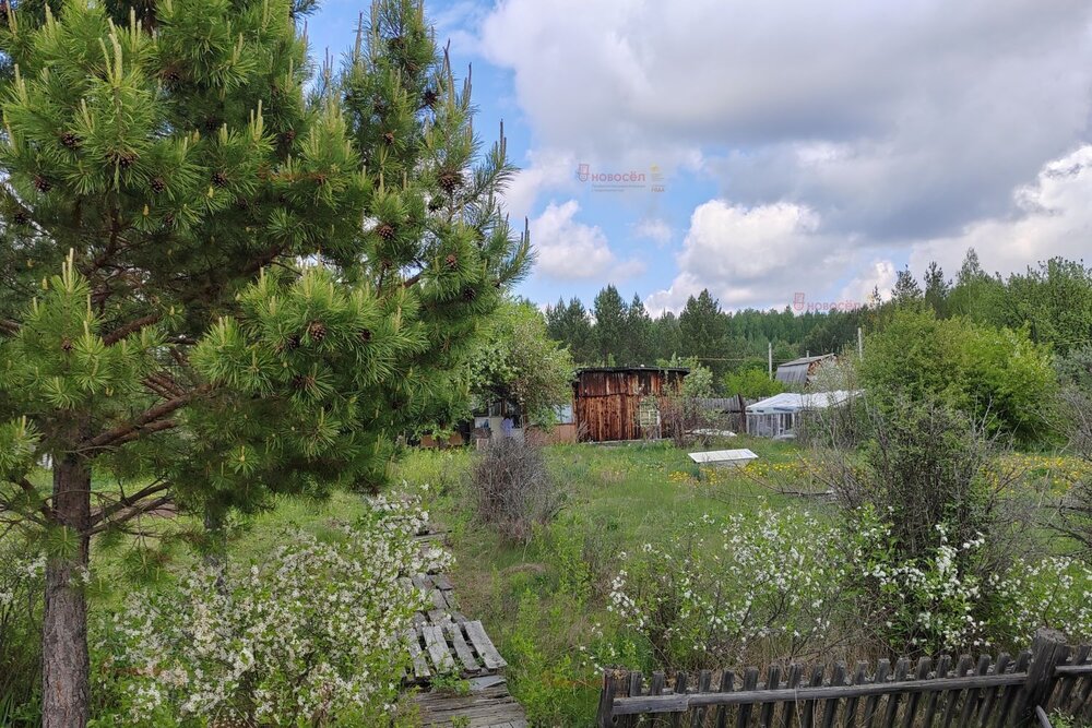 д. Марамзина, к/с Клен, ул. Клен (городской округ Белоярский) - фото сада (6)