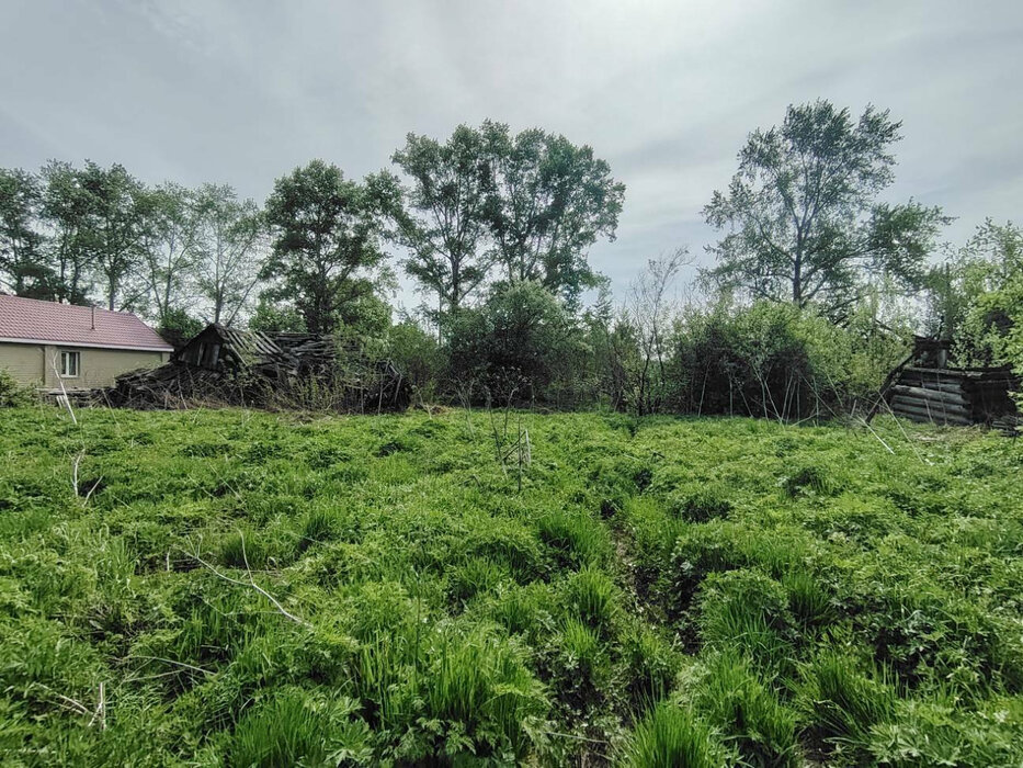 г. Нижние Серги, ул. Ударная, 20 (Нижнесергинский район) - фото земельного участка (2)