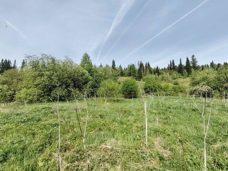 г. Нижние Серги, ул. Ударная, 20 (Нижнесергинский район) - фото земельного участка (4)