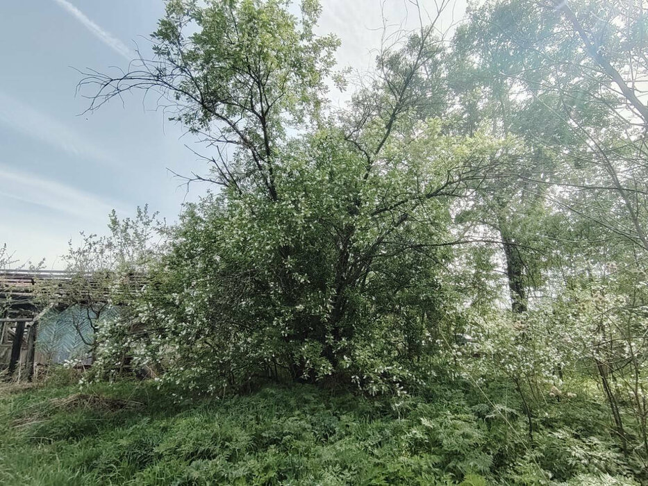 г. Нижние Серги, ул. Ударная, 20 (Нижнесергинский район) - фото земельного участка (8)