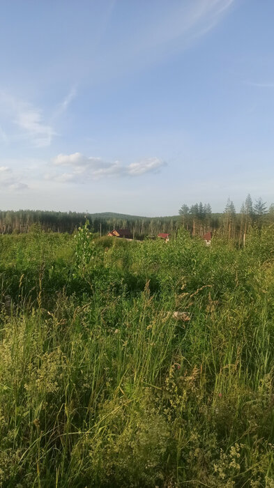п. Верх-Нейвинский, ул. Нагорная, 116 (городской округ Верх-Нейвинский) - фото земельного участка (2)