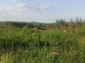 Продажа земельного участка: п. Верх-Нейвинский, ул. Нагорная, 116 (городской округ Верх-Нейвинский) - Фото 2