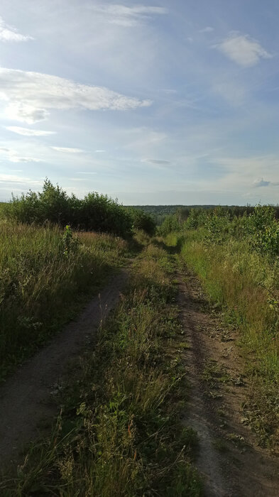 п. Верх-Нейвинский, ул. Нагорная, 116 (городской округ Верх-Нейвинский) - фото земельного участка (4)