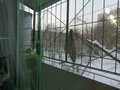 Продажа квартиры: Екатеринбург, ул. Посадская, 54 (Юго-Западный) - Фото 5