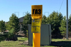 к.п. Совушки, ул. Абрикосовая, 51 (Екатеринбург, с. Горный щит) - фото земельного участка