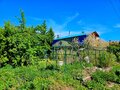 Продажа садового участка: поселок городского типа Белоярский, К/С Ромашка, ул. Озёрная, 55 (городской округ Белоярский) - Фото 4