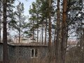 Продажа земельного участка: п. Большой Исток, ул. Ленина, 172/2 (городской округ Сысертский) - Фото 3