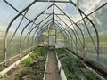 Продажа садового участка: п. Гать, городской округ Верхняя Пышма, Серовское направление, 26, ст Лесотехник (городской округ Верхняя Пышма) - Фото 7