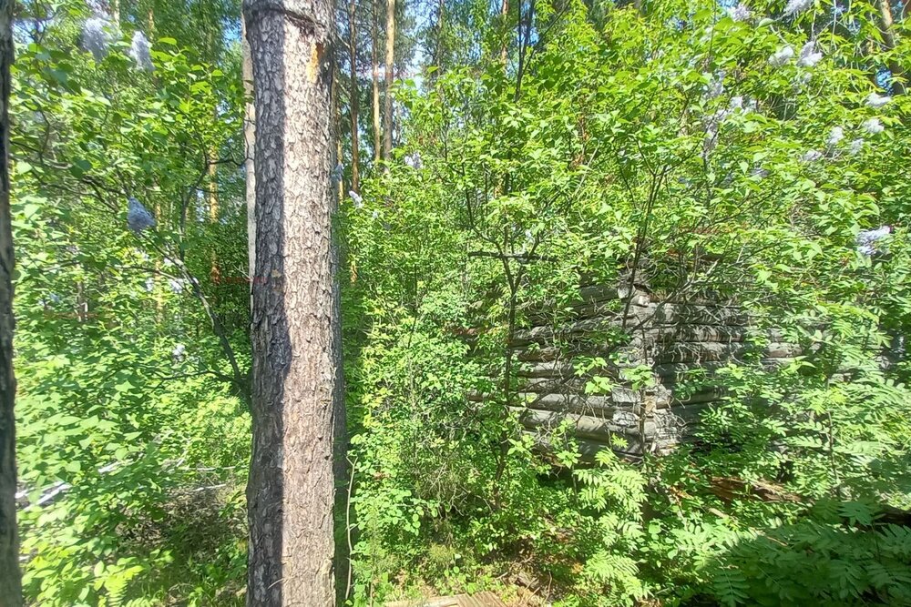 Екатеринбург, СНТ Энергостроитель уч.2, ул. СНТ Энергостроитель уч.2 - фото сада (10)